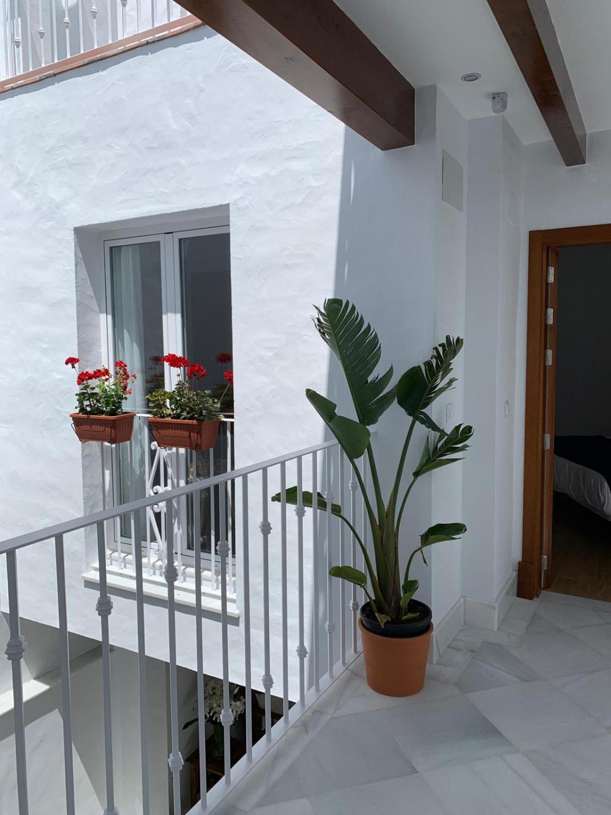 7Escalones, Bild 14