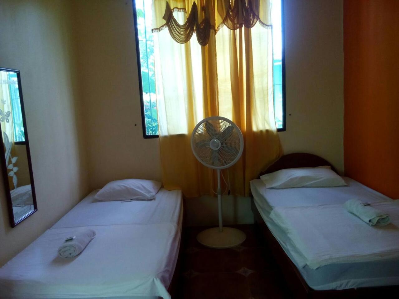 Single Room photo 1