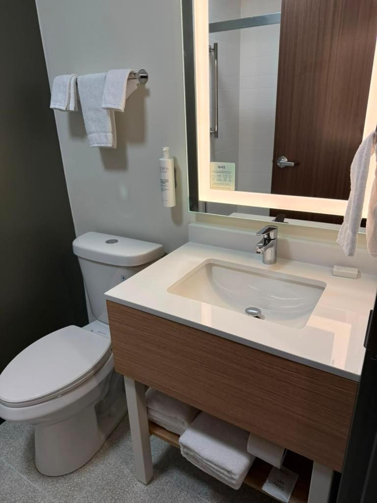 King Room photo 1