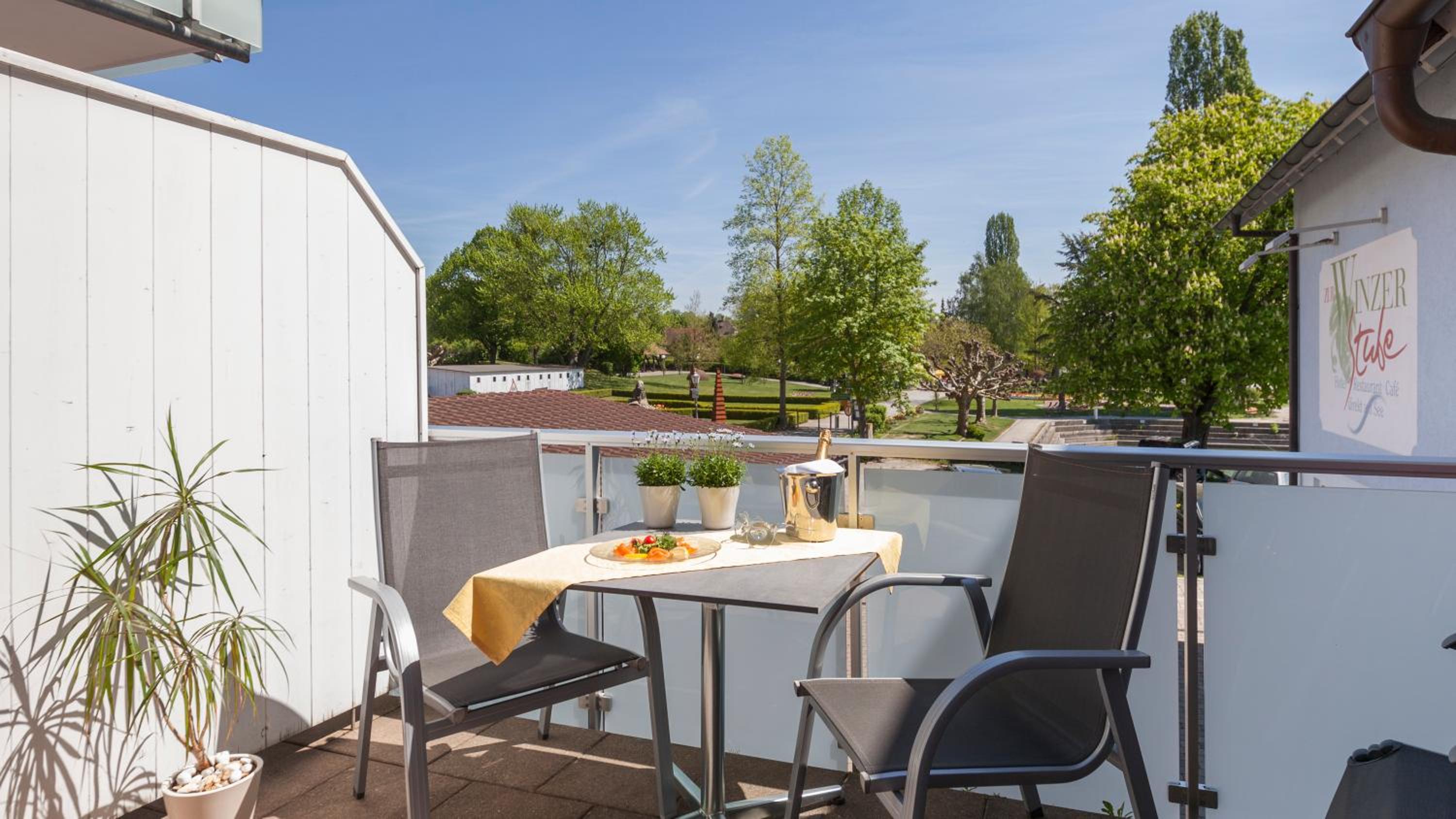 Superior Double Room with Park View - Photo 8