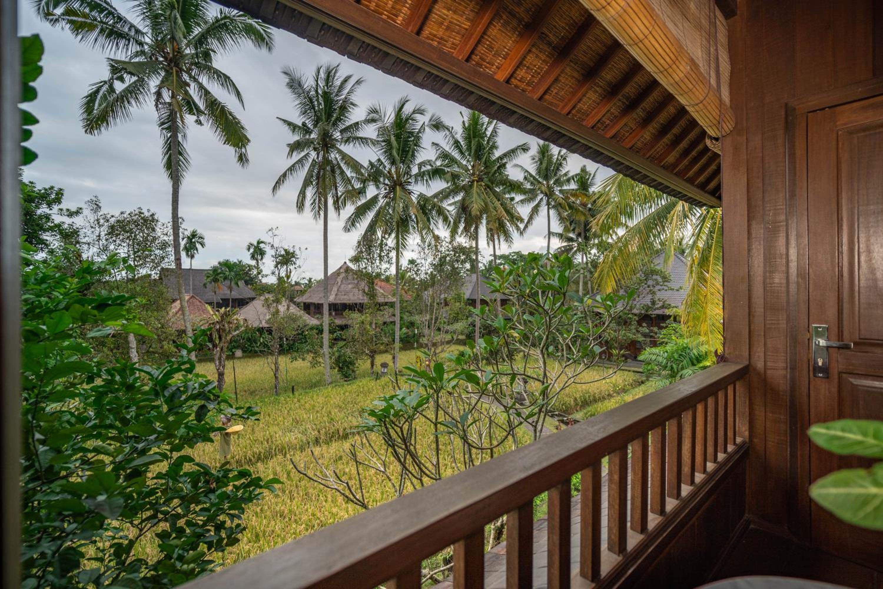 Deluxe Rice field View - Photo 20