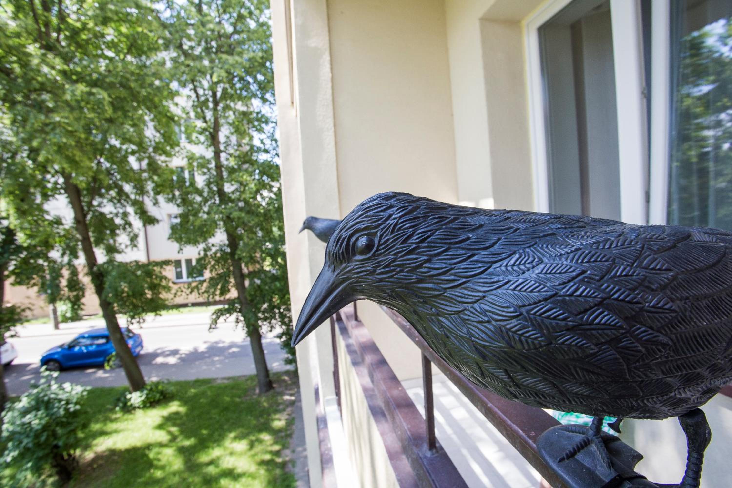 Studio Apartment with Balcony - Photo 37