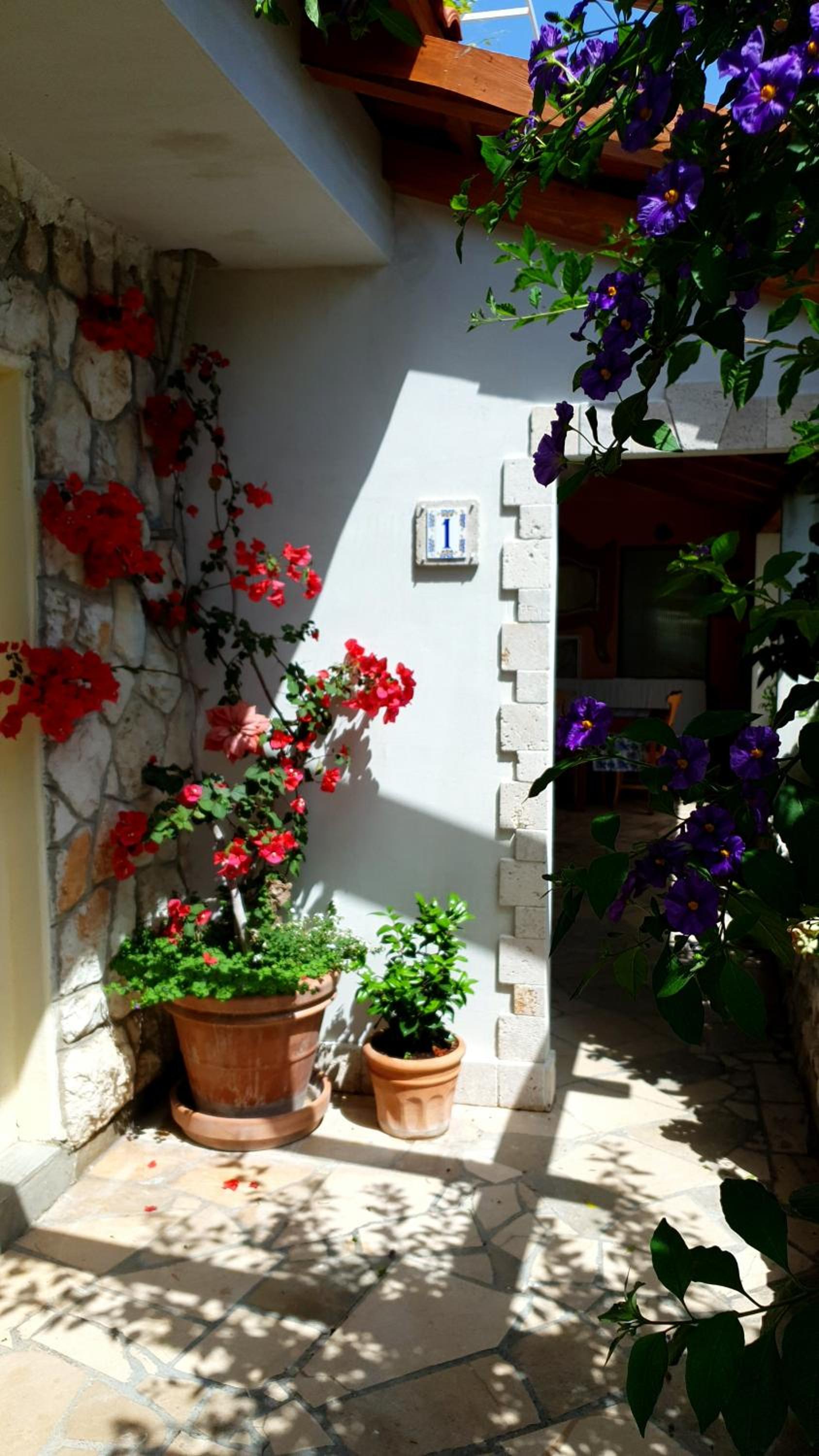 Apartment with Terrace