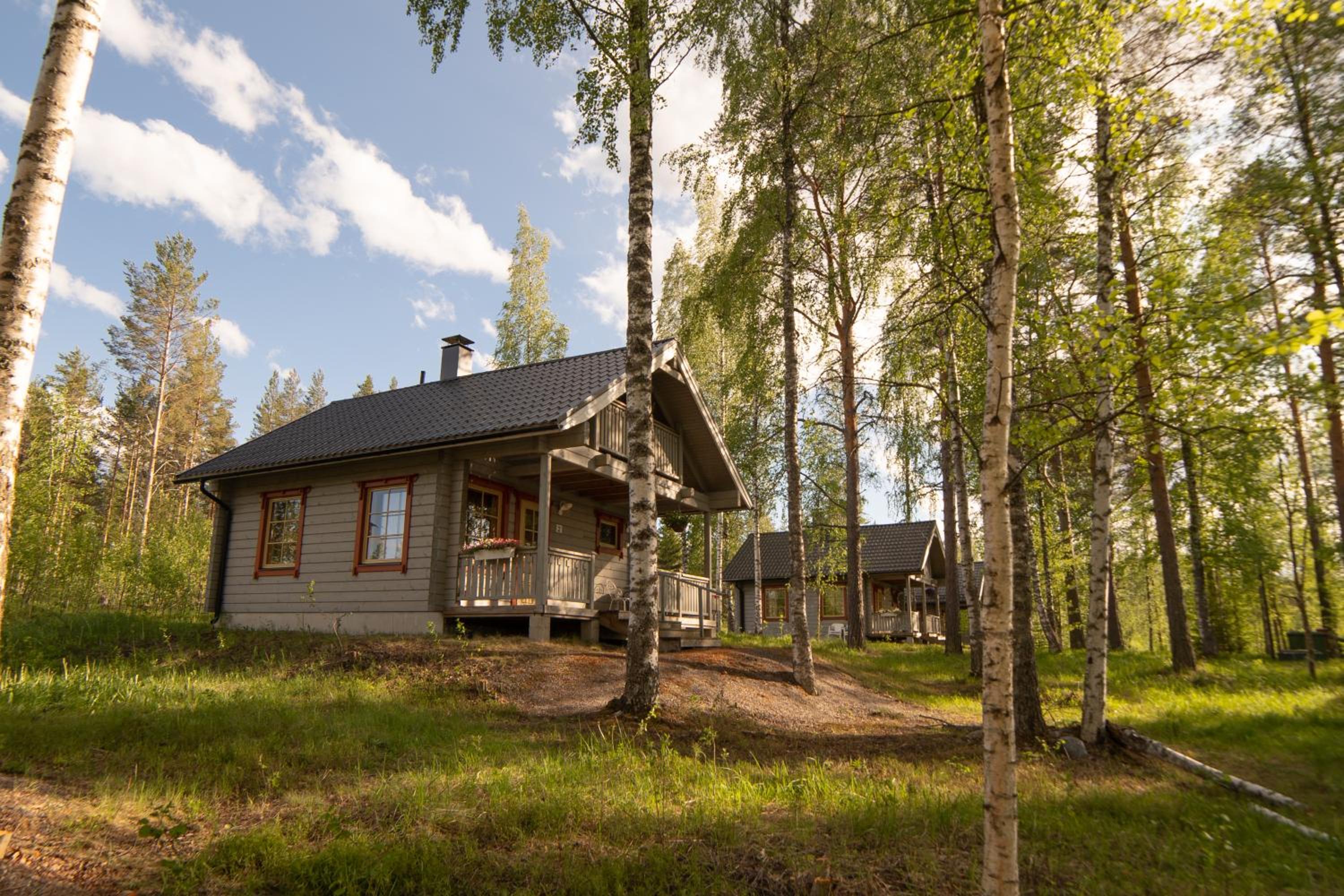 Cottage in the Forest photo 1