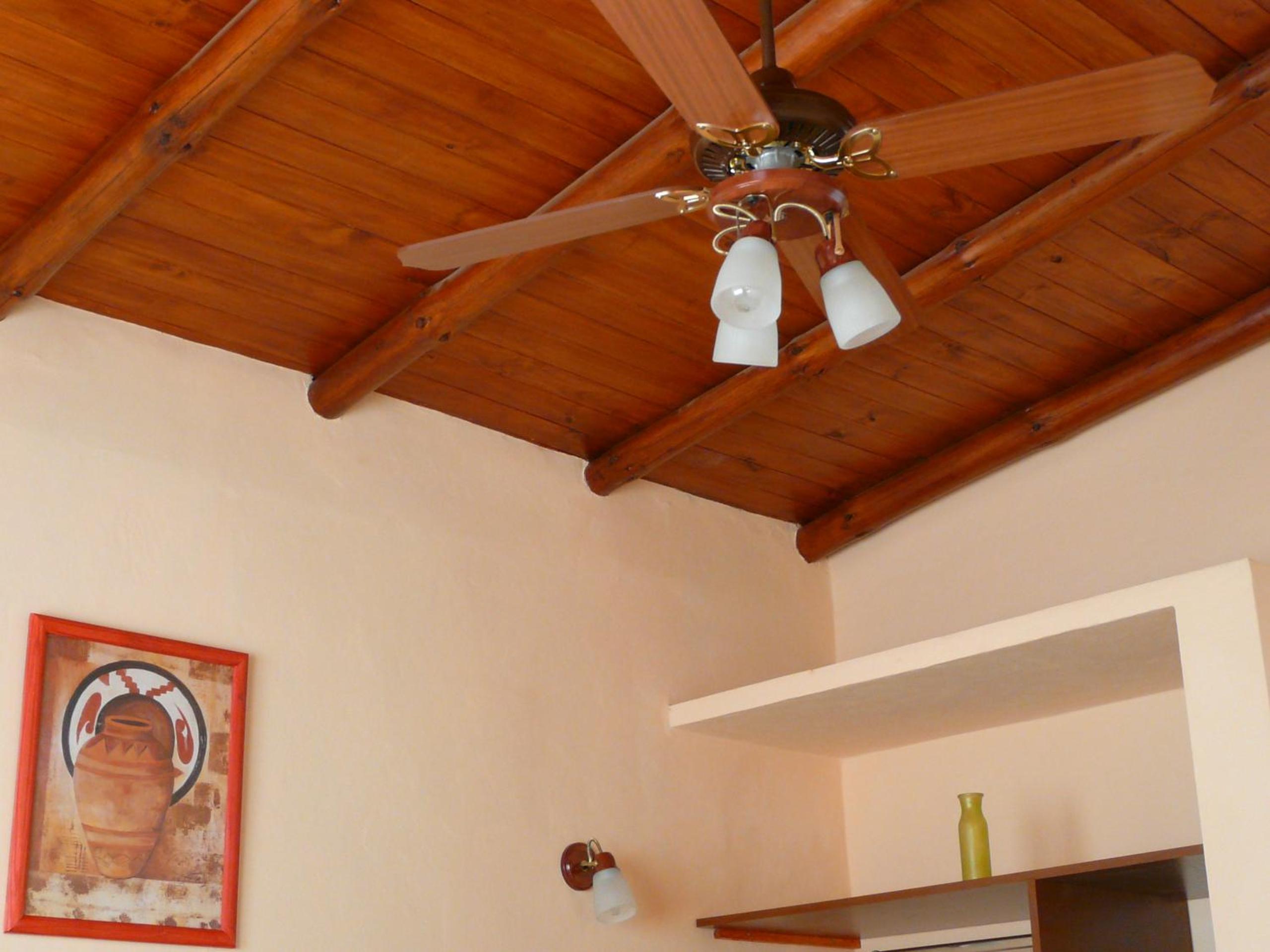 Family Bungalow photo 3