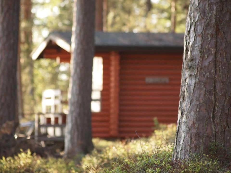 Chalet photo 2