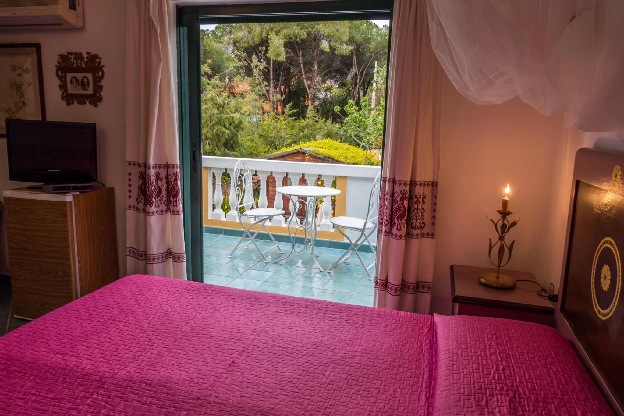 King Room with Garden View photo 3