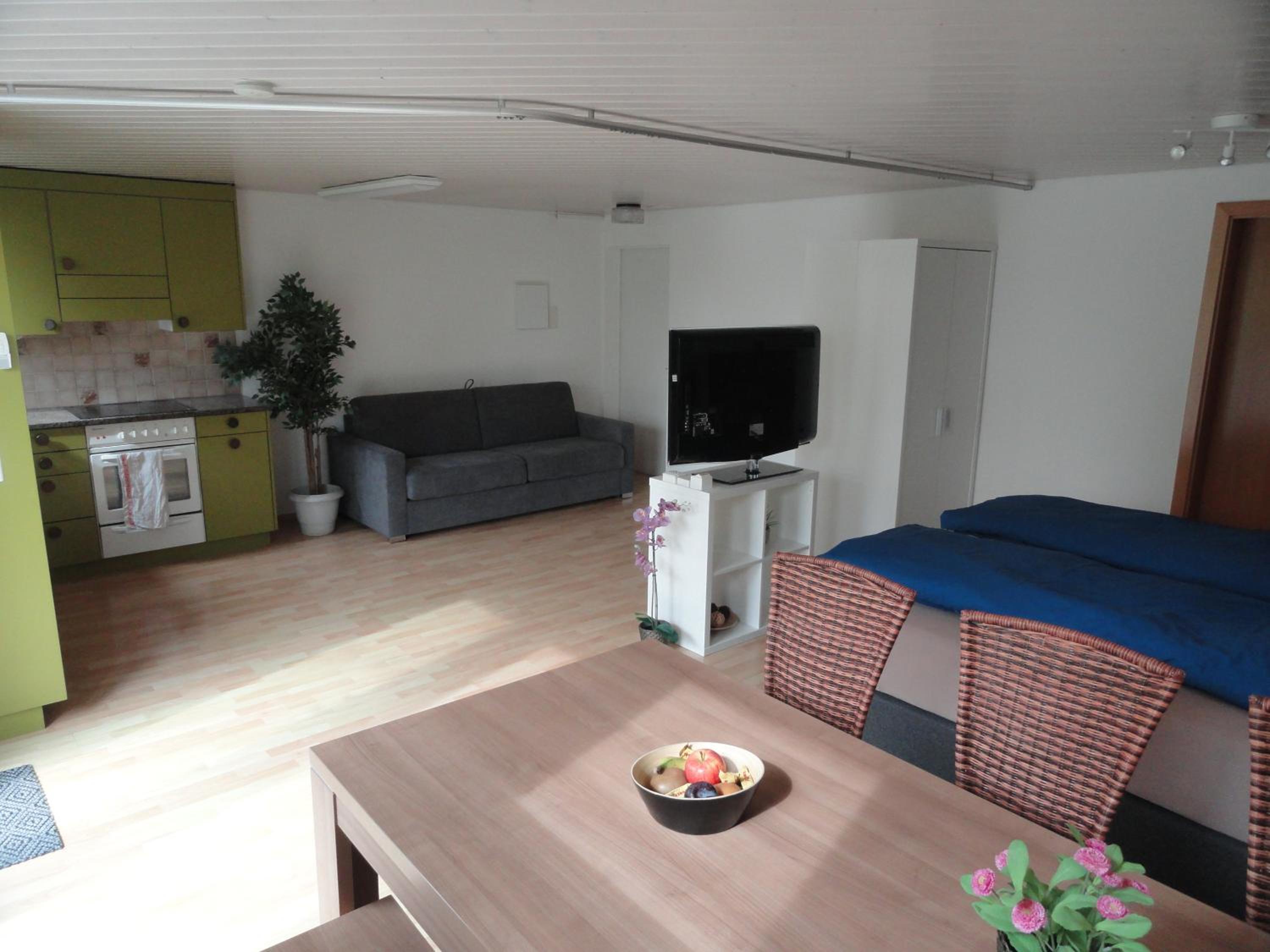 Studio Apartment photo 1