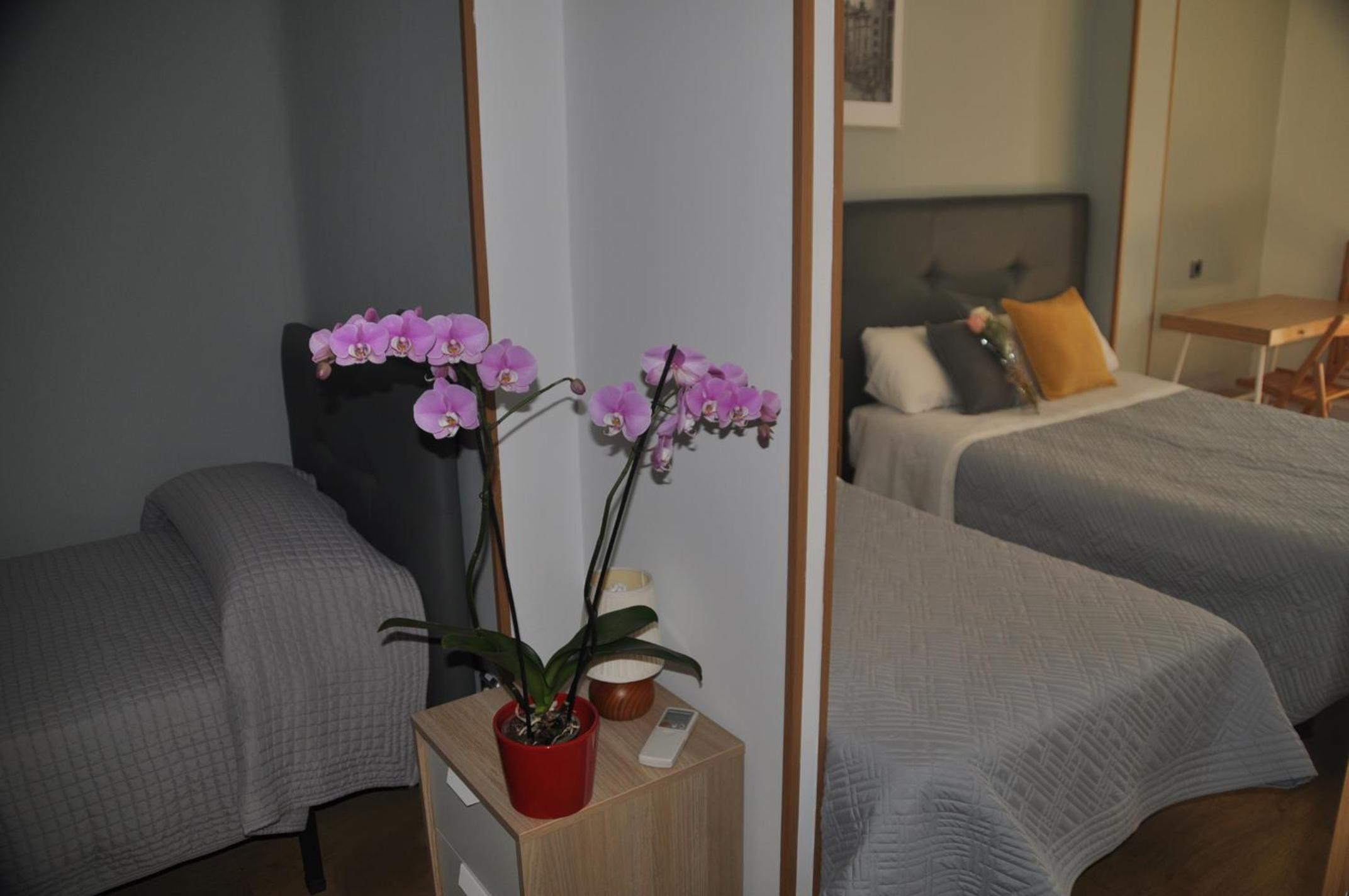 Superior Triple Room with Private Bathroom photo 3