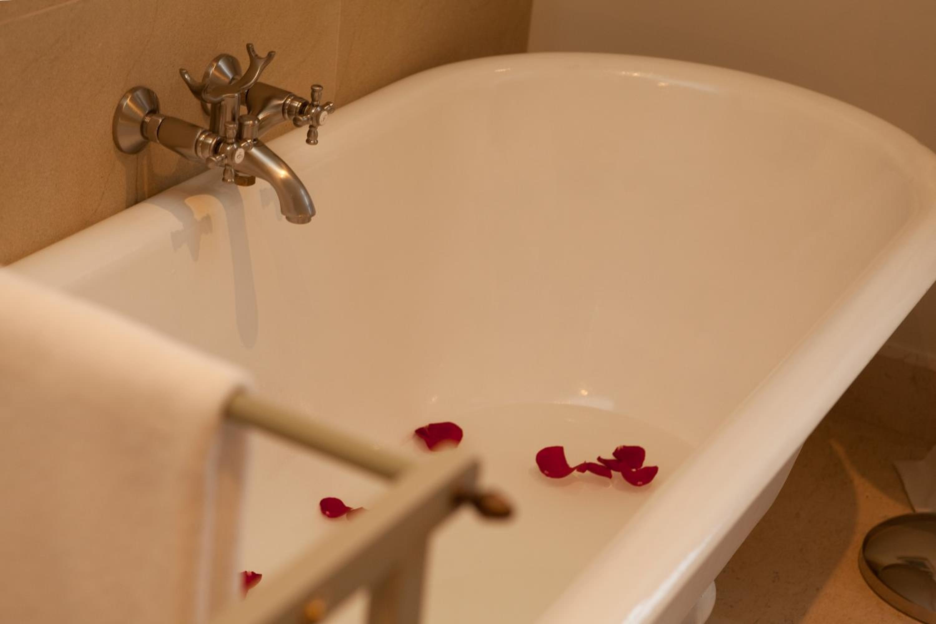 Superior Suite - Photo 9