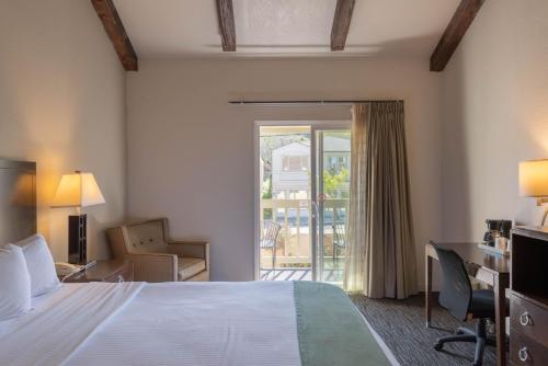 King Room photo 1