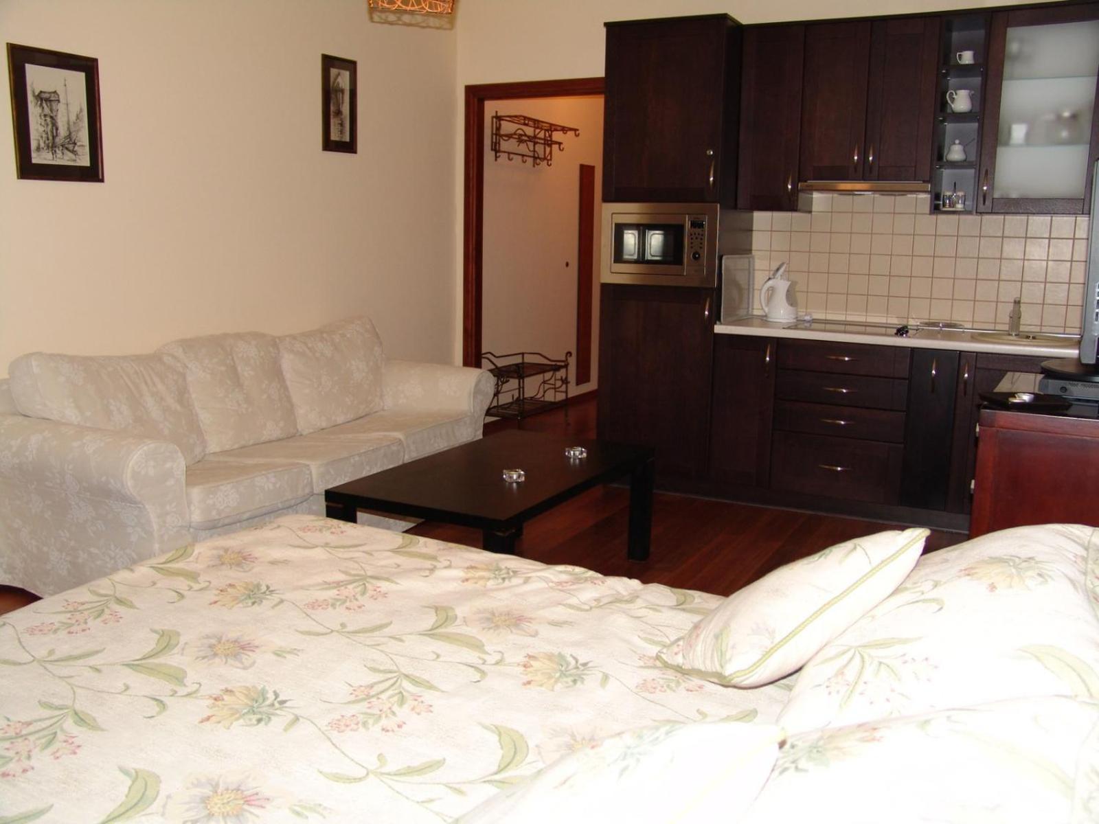 Studio Apartment - Photo 2