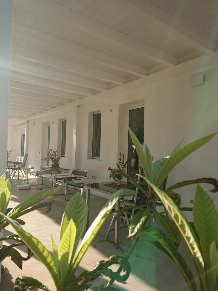 One-Bedroom House photo 3