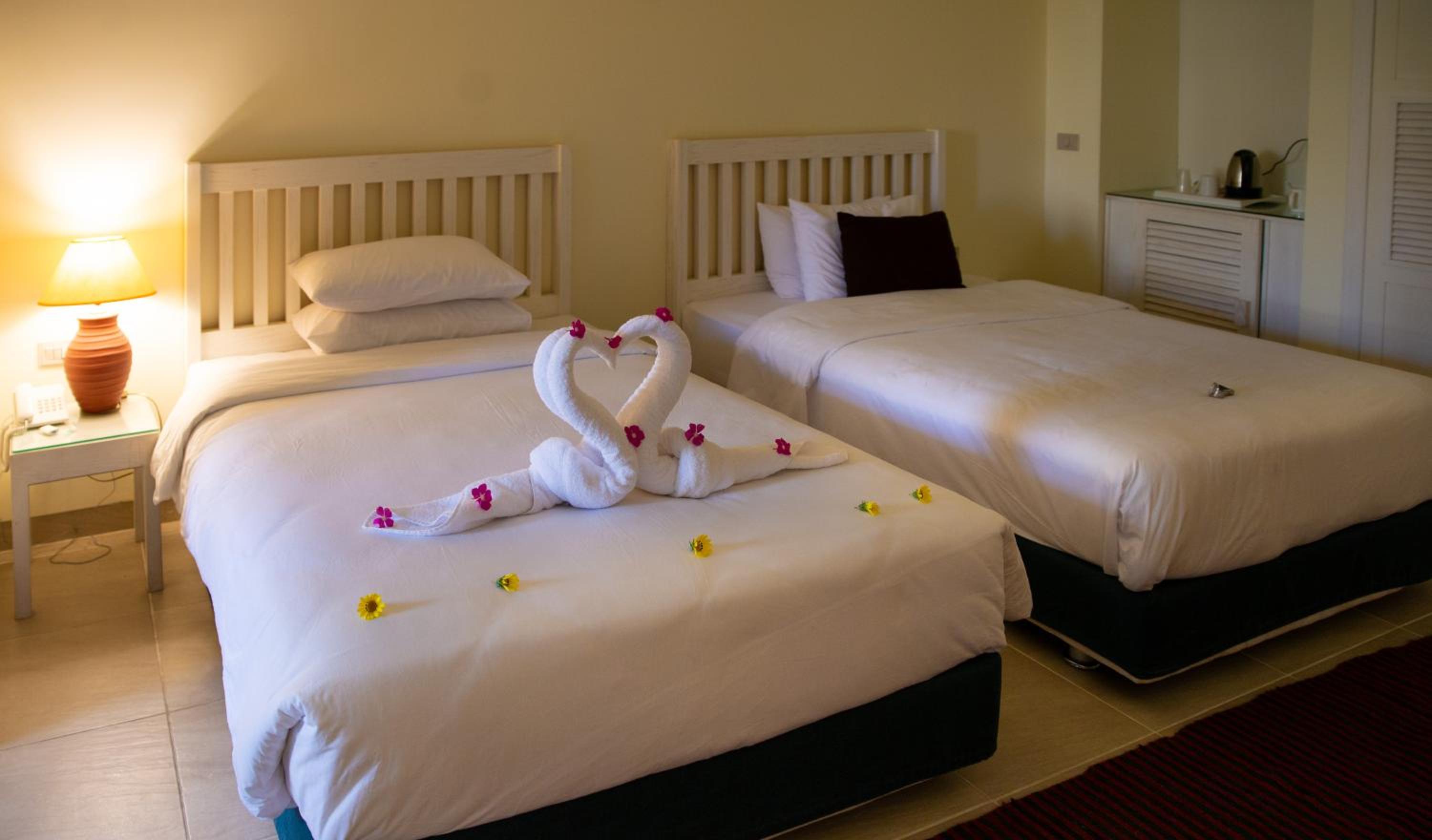 Superior Twin Room photo 2