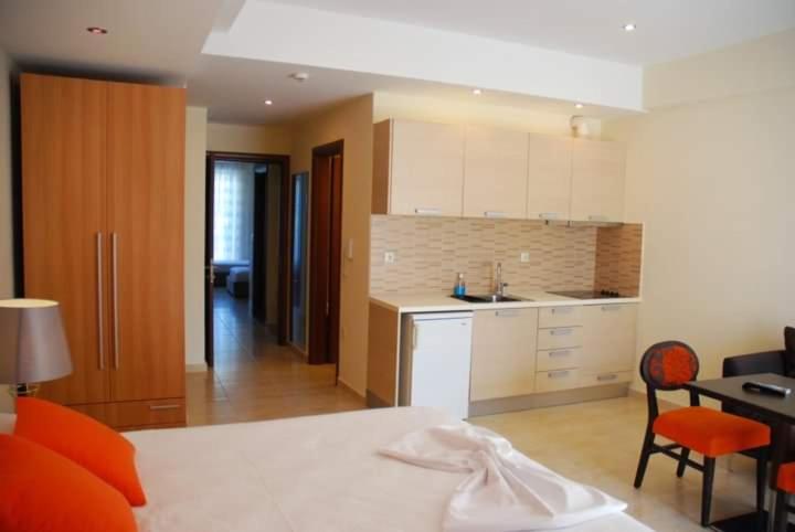 One-Bedroom Apartment photo 3