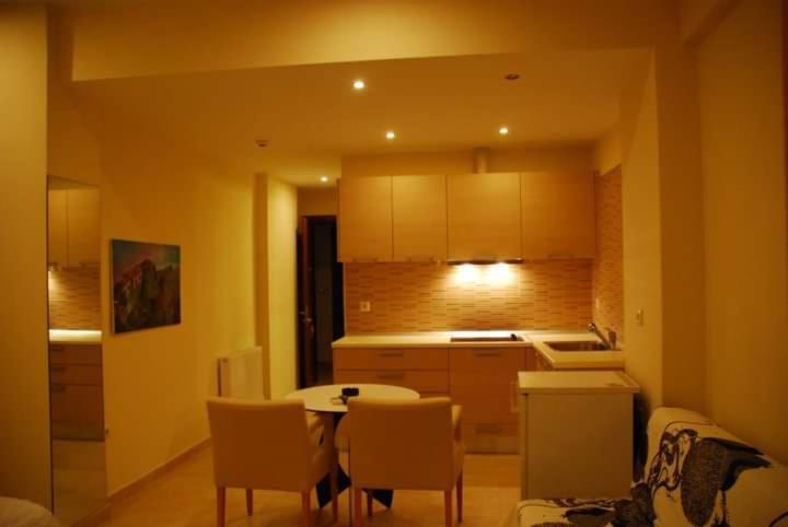 One-Bedroom Apartment photo 3