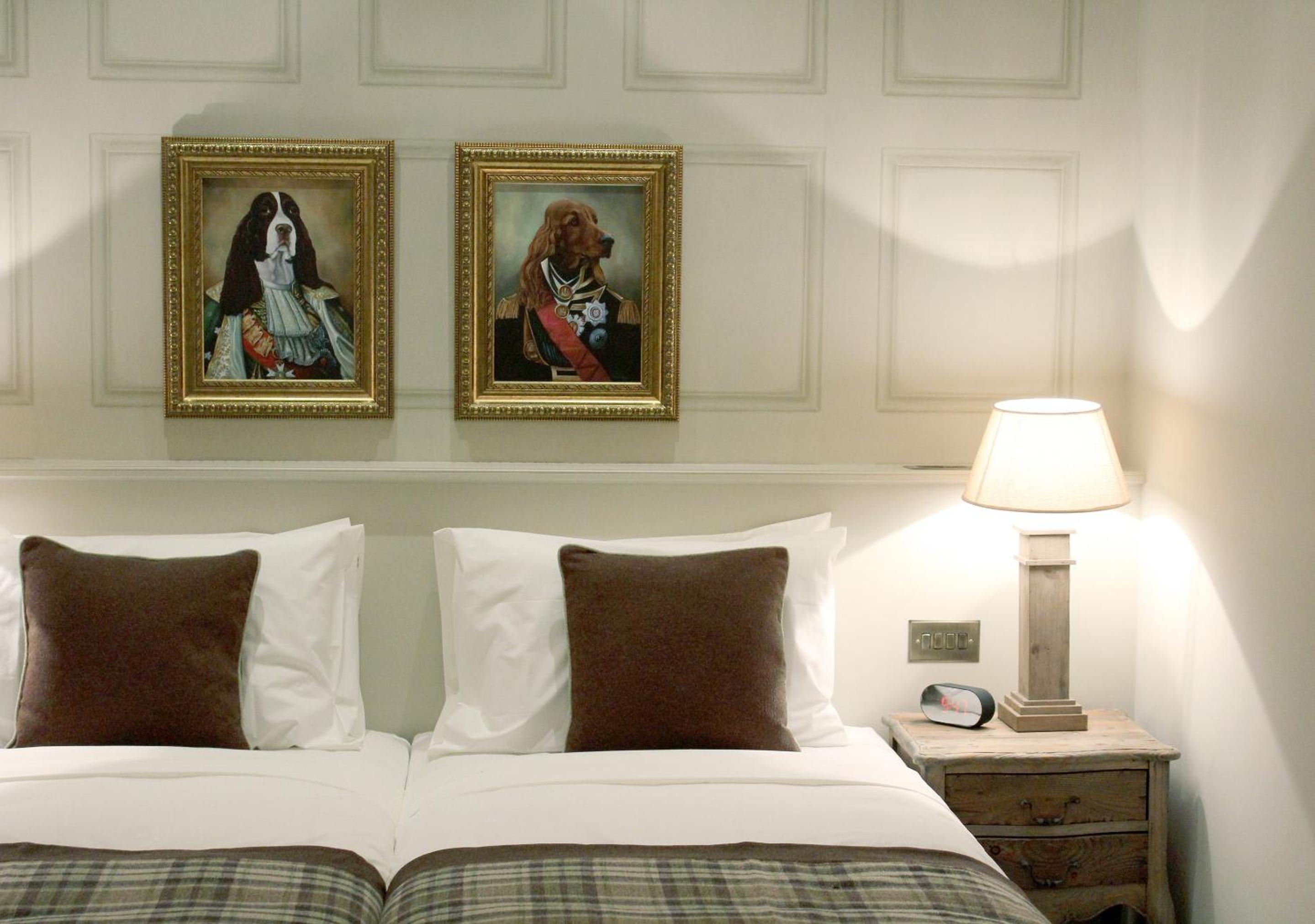 Deluxe Double or Twin Room photo 2