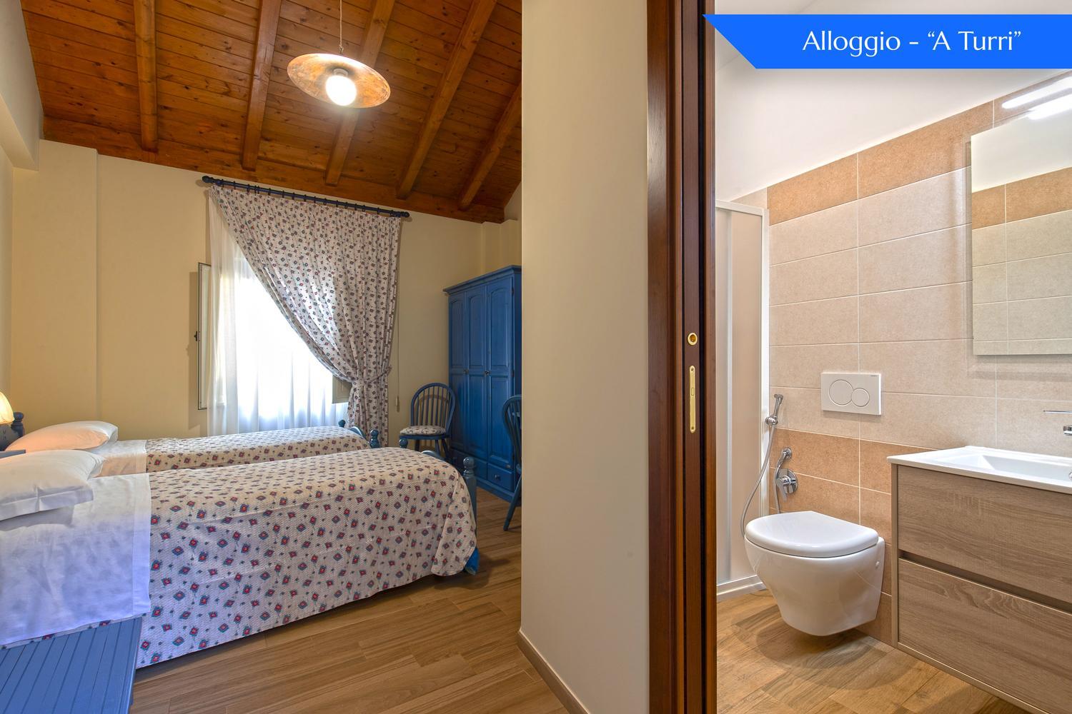 Twin Room photo 1