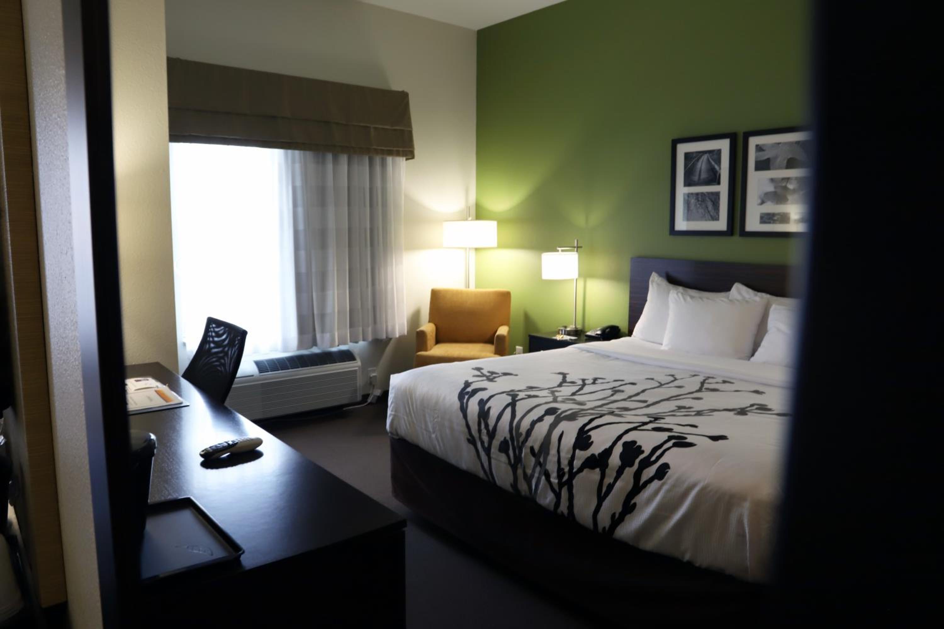 King Room - Non-Smoking photo 2