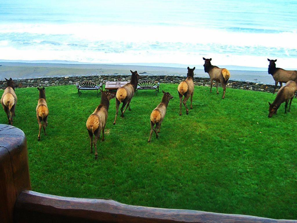 Vacation Home photo 2