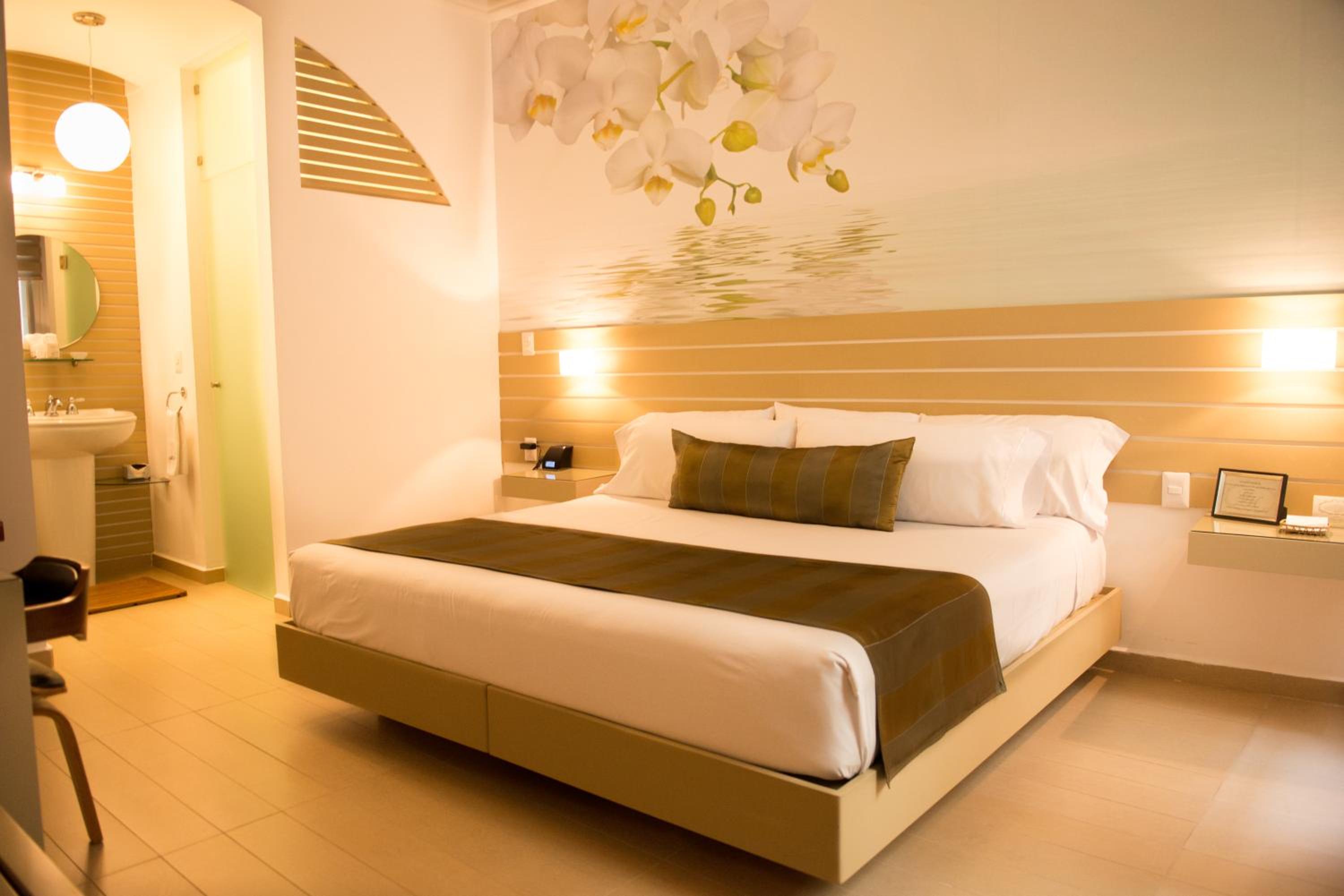 Suite photo 1