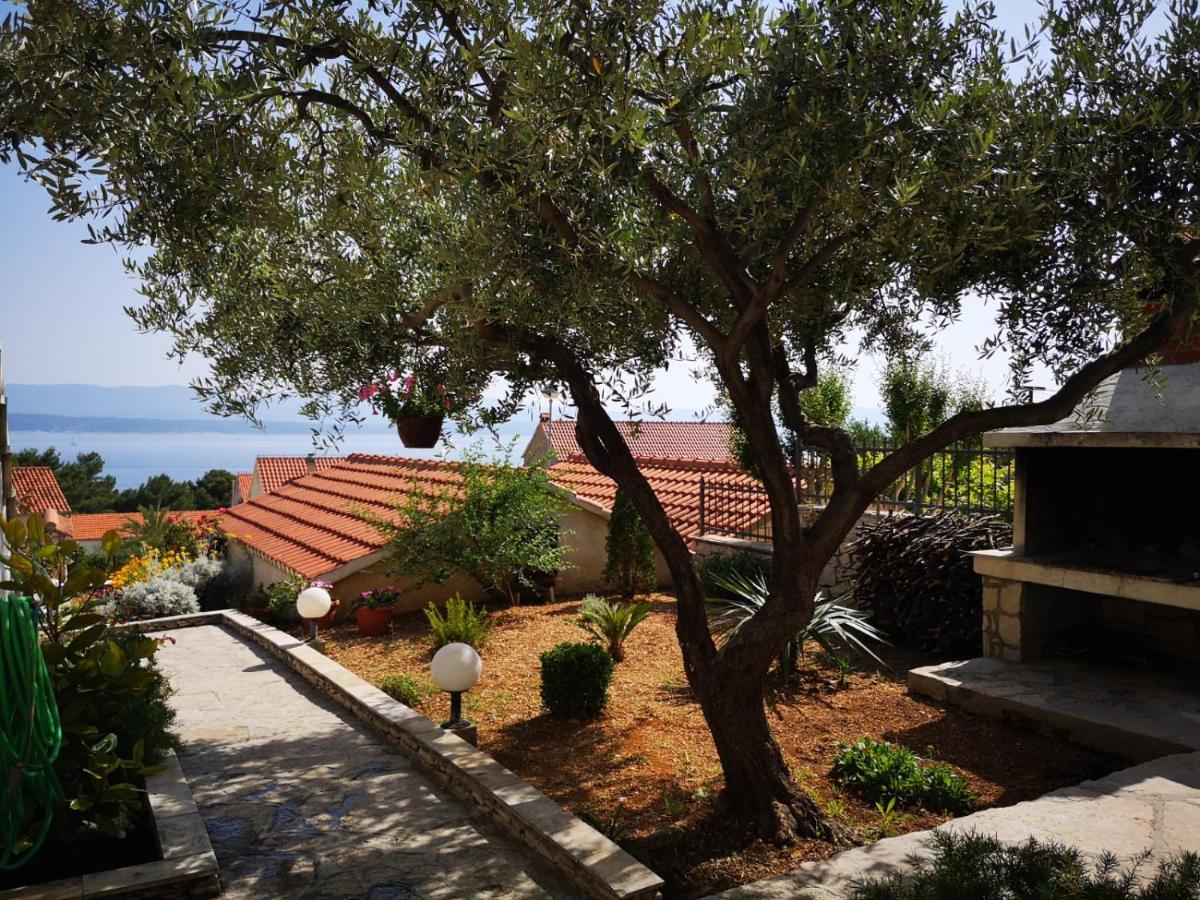 Studio with Terrace and Sea View