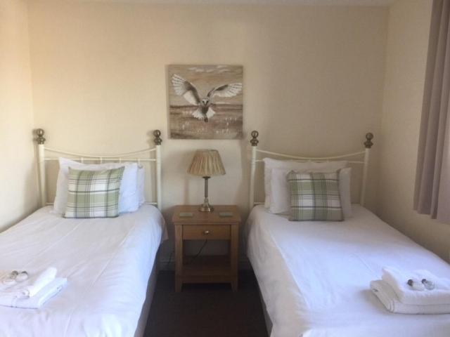 Twin Room photo 1