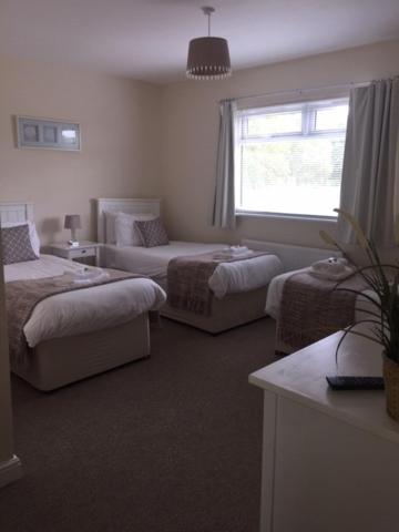 Triple Room - Photo 2
