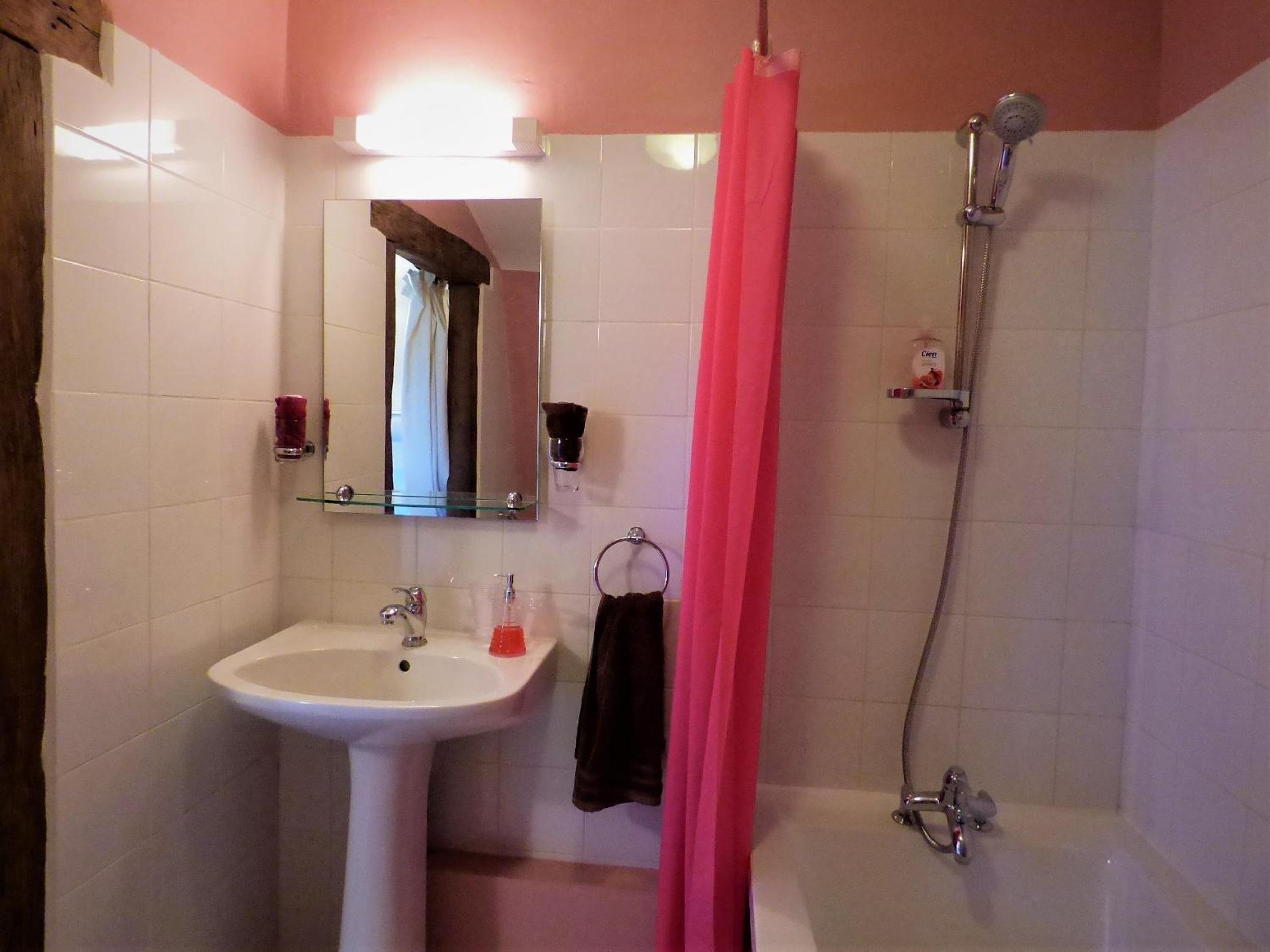 Family Room with Private Bathroom - Photo 5
