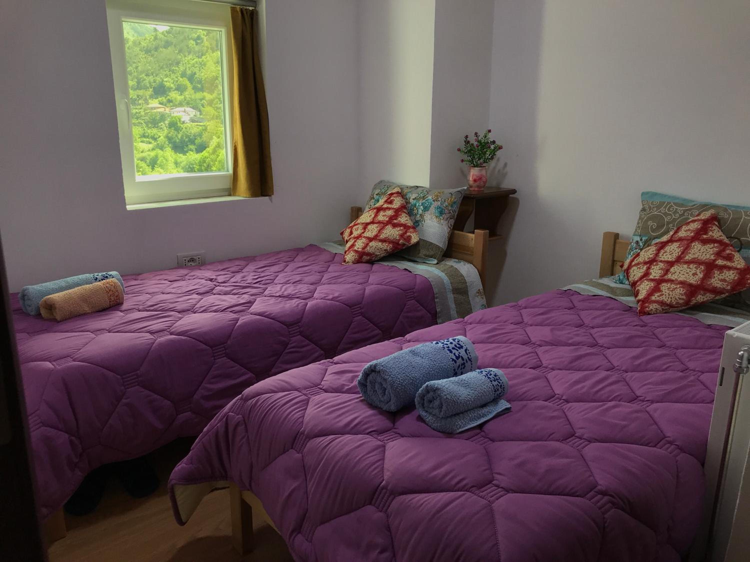 Twin Room photo 3