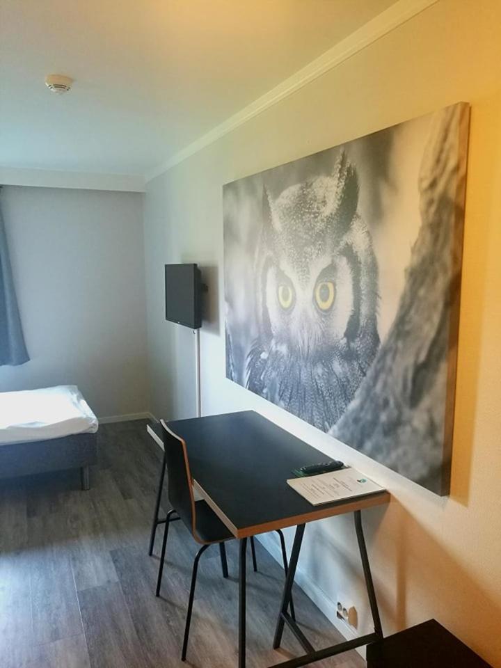Single Room photo 2