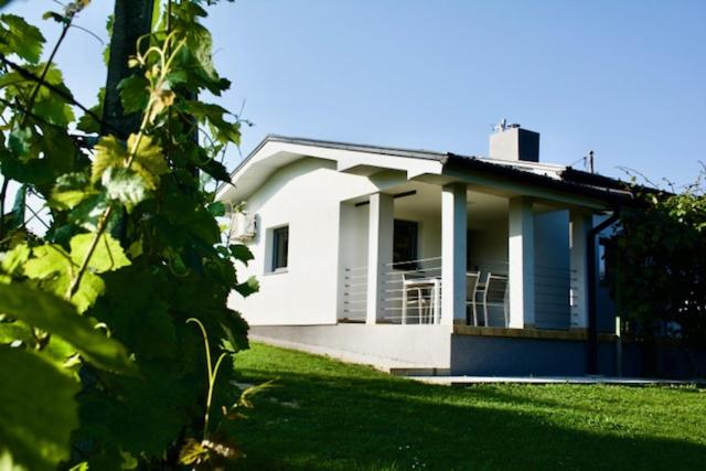 One-Bedroom House photo 1