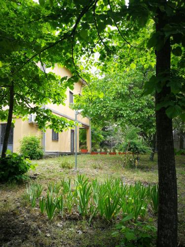 Holiday Home photo 2