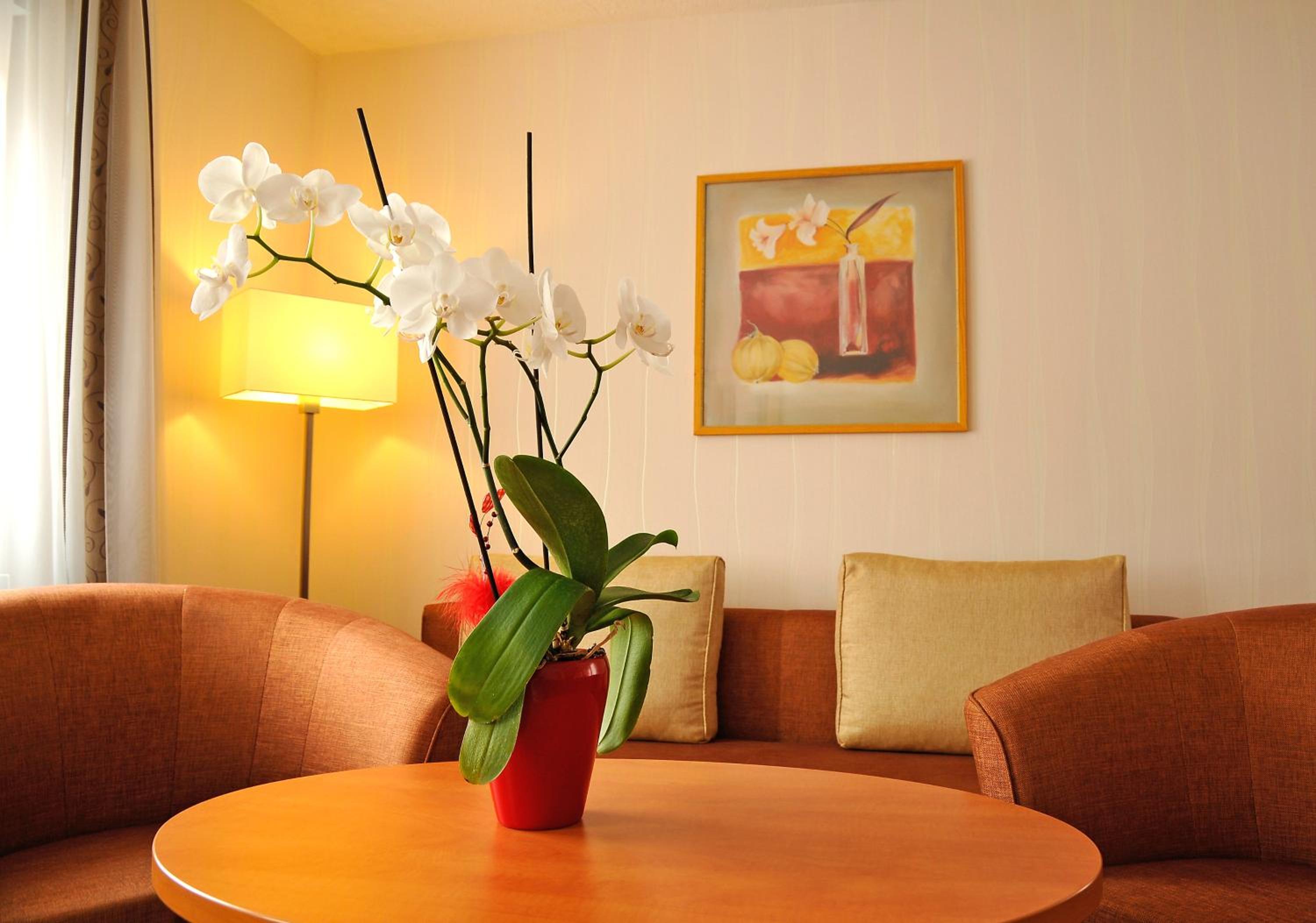 One-Bedroom Apartment (2 - 4 Adults) - Photo 5