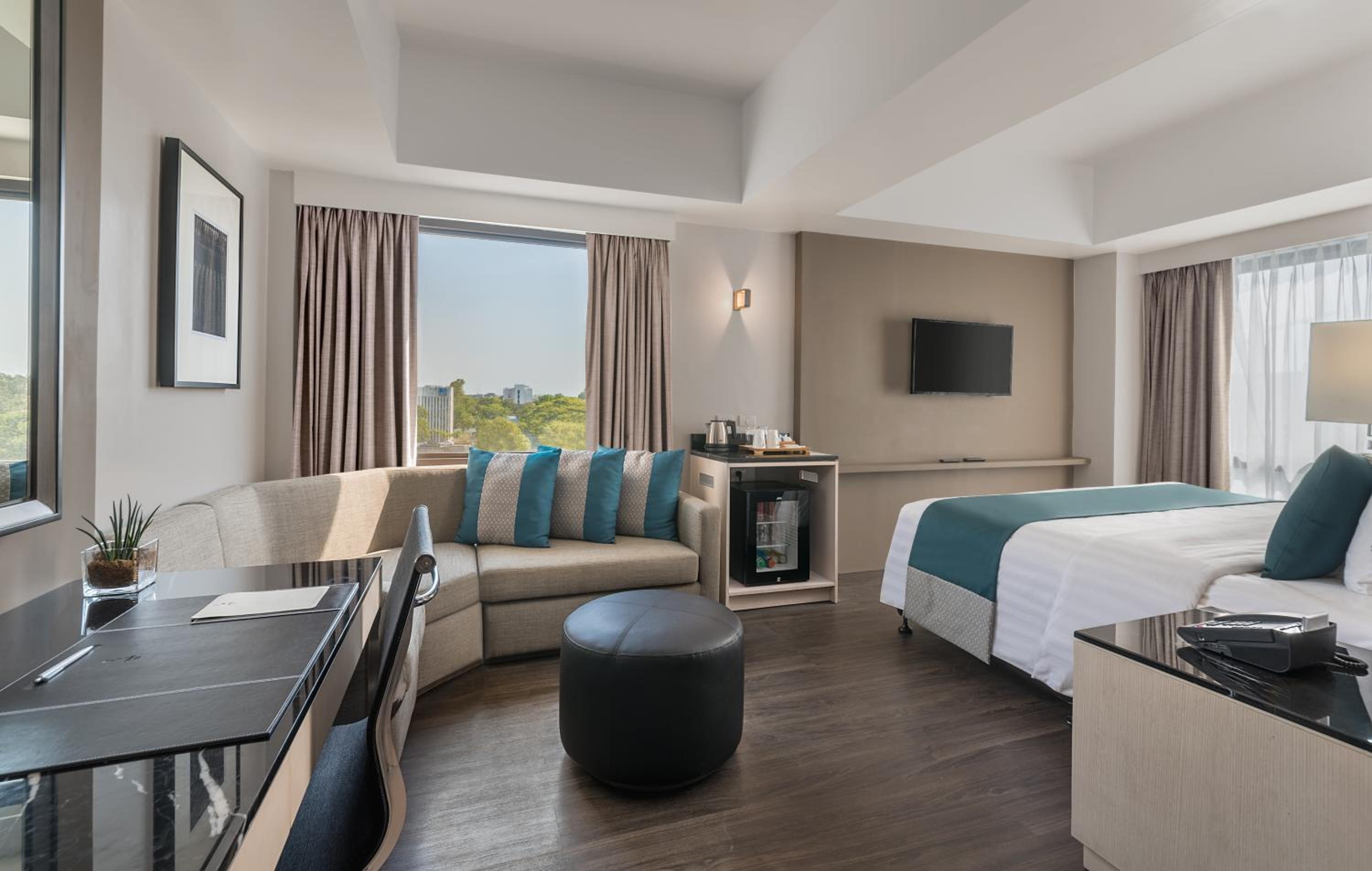 1 King Bed, Large Room photo 3