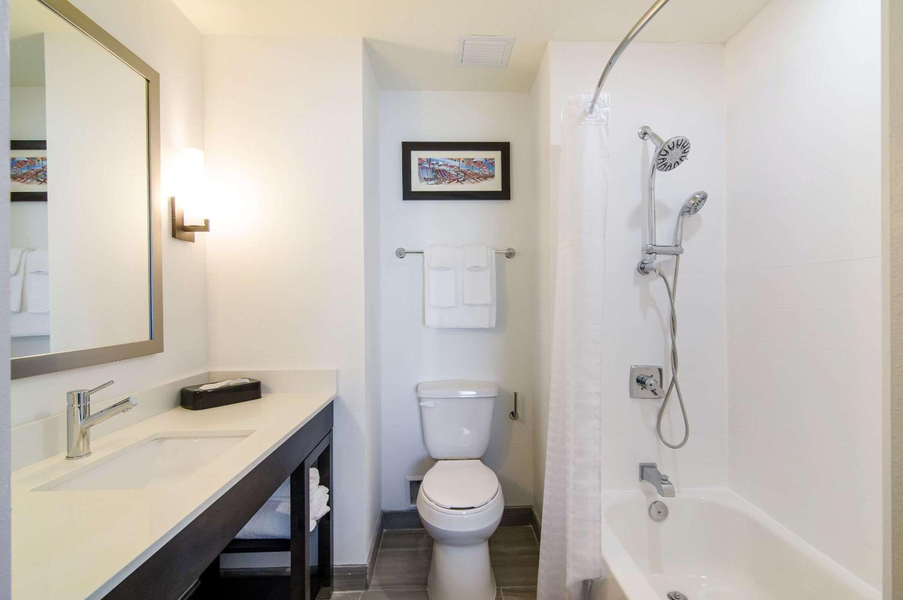 King Suite with Bathtub - Accessible/Non-Smoking - Photo 4