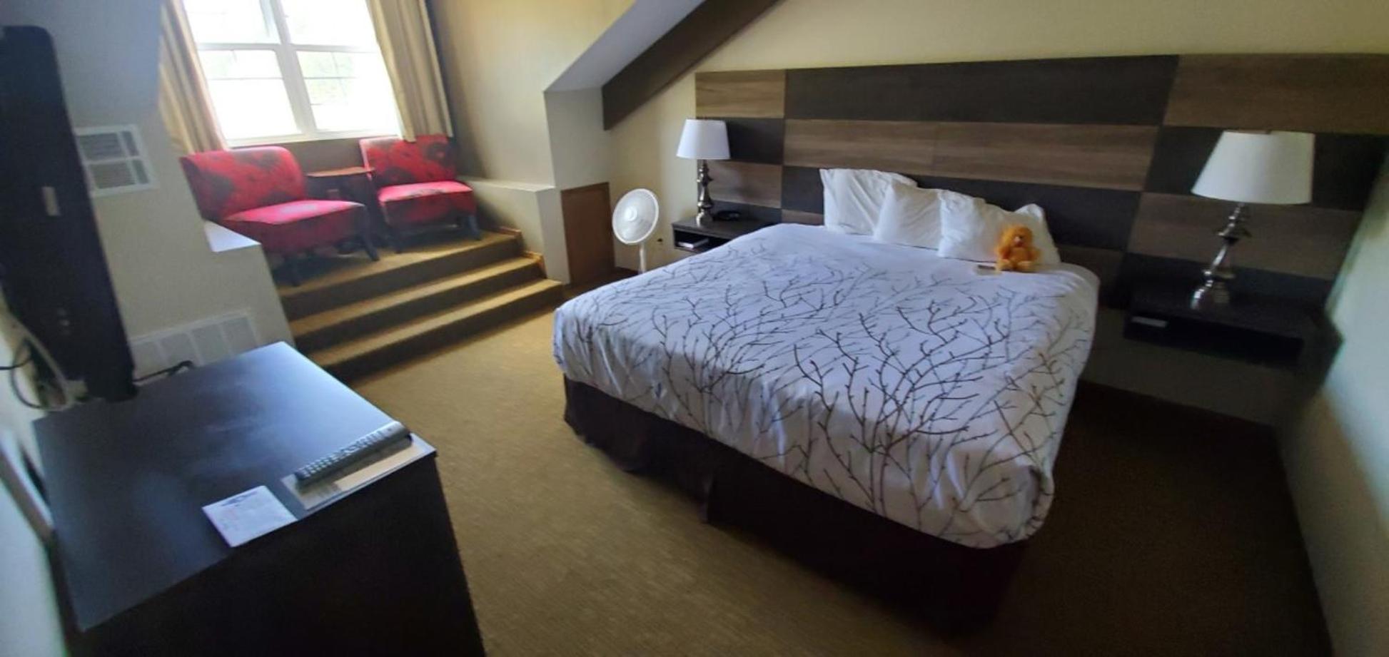 Superior Suite