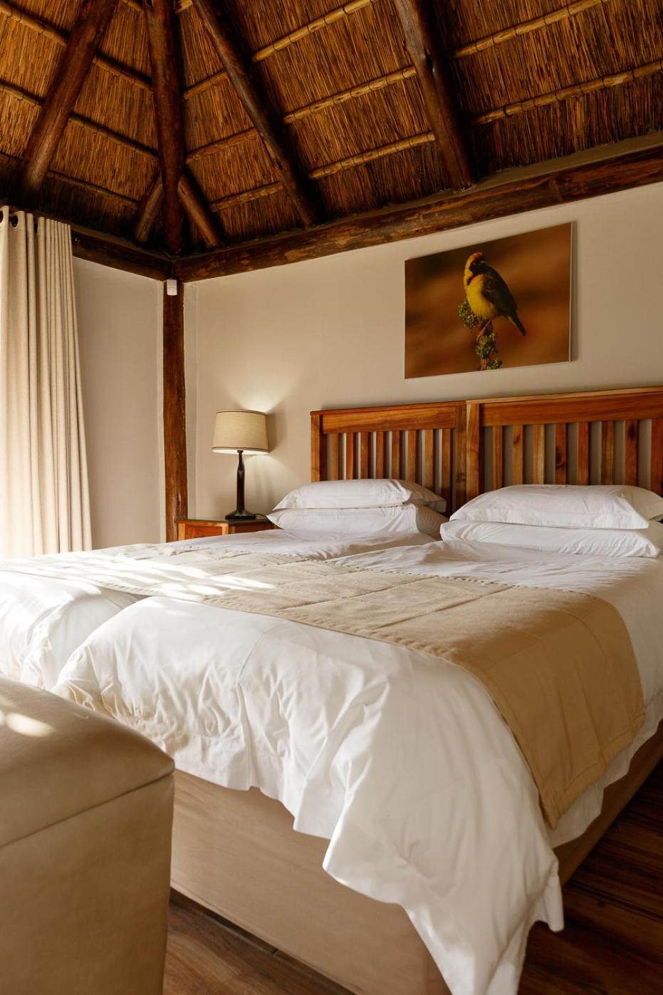Twin/Double Room