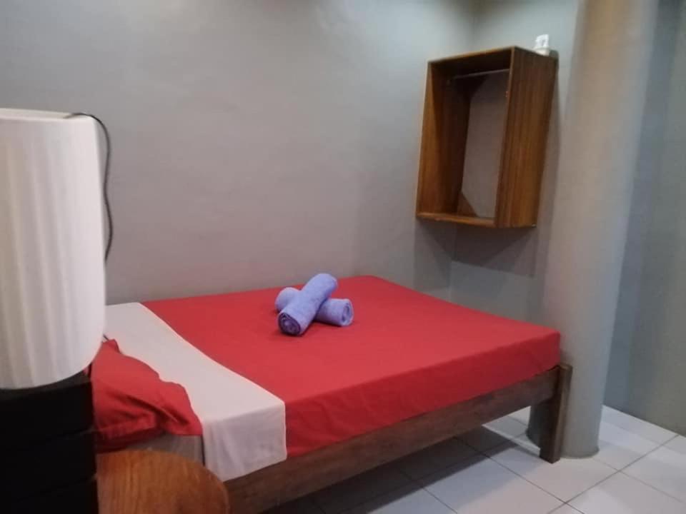 Budget Single Room photo 3