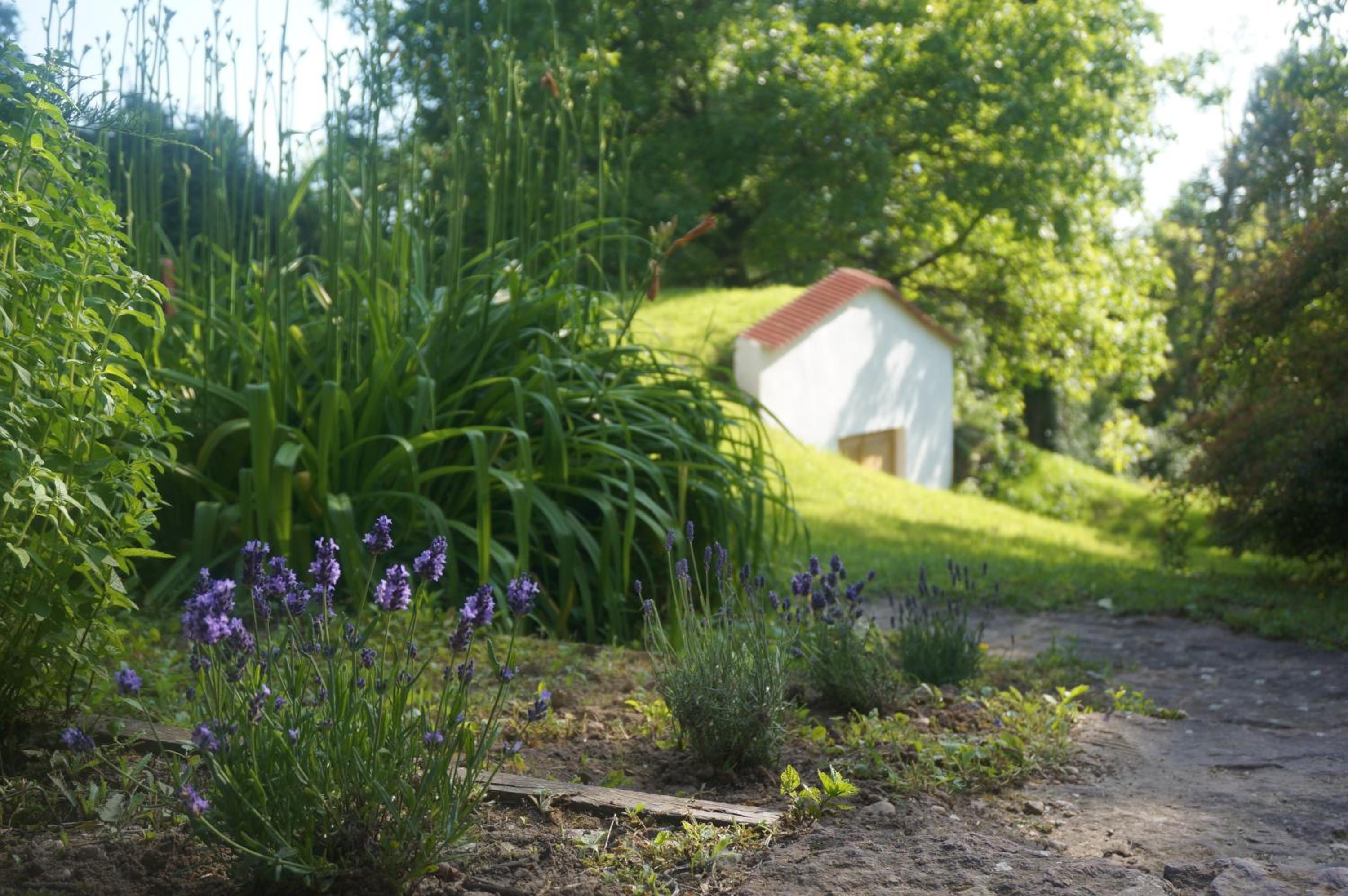 Villa with Garden View photo 2
