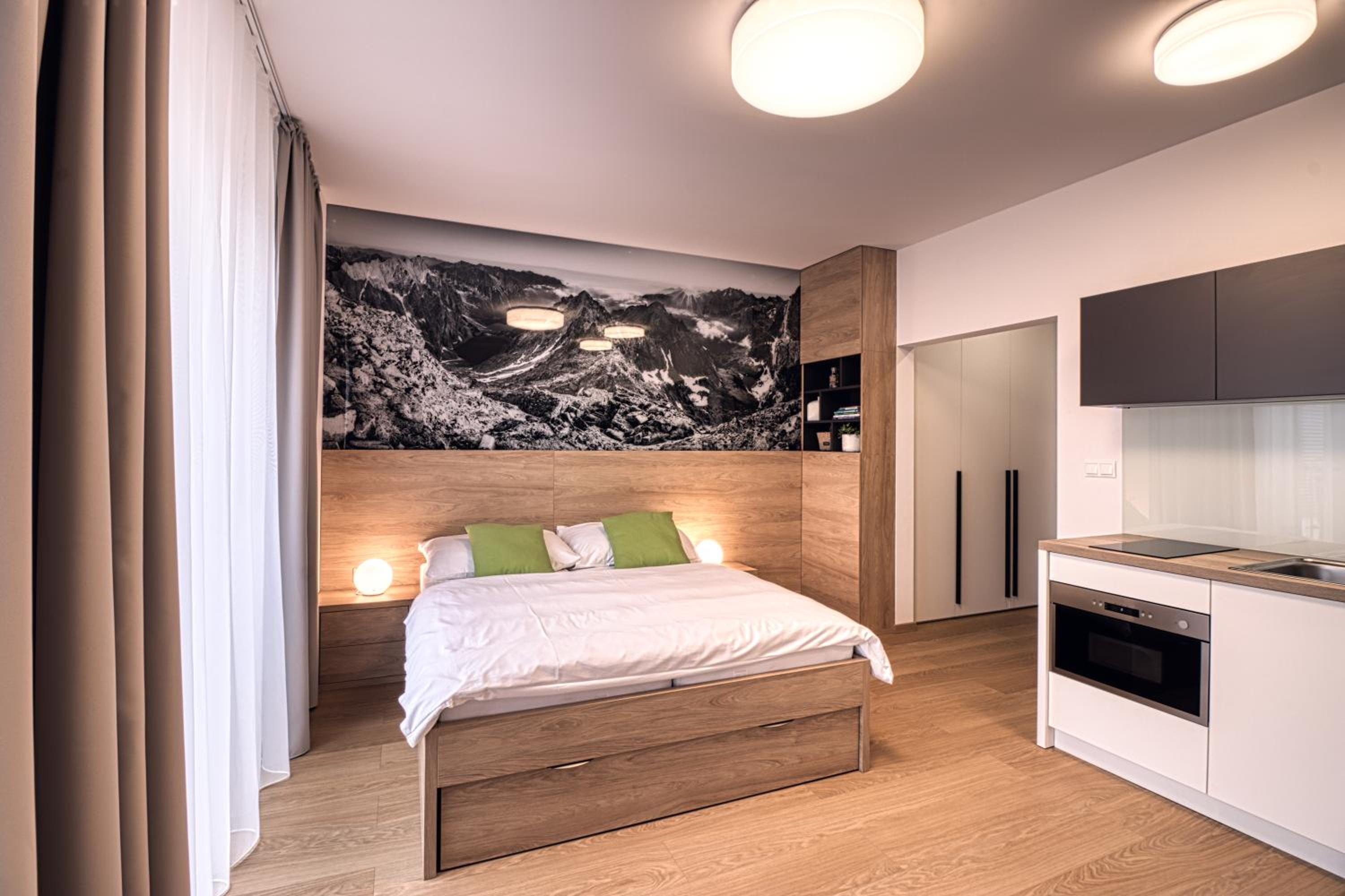 Apartment with Mountain View photo 2