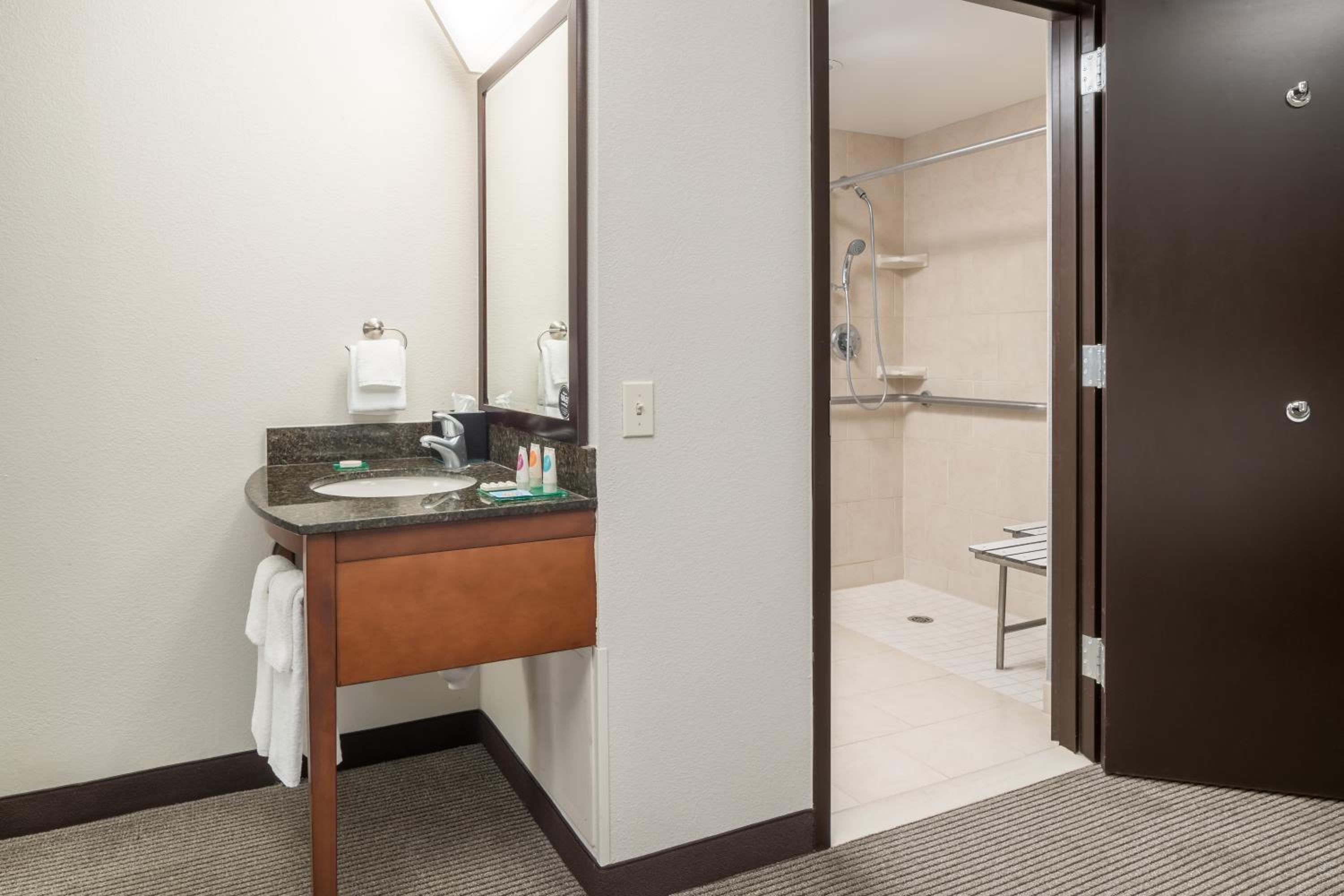 King Room with Sofa Bed and Roll-In Shower - Disability Access - Photo 8