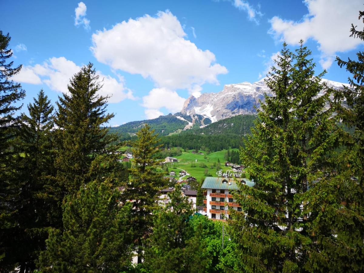 Double or Twin Room with Mountain View photo 1