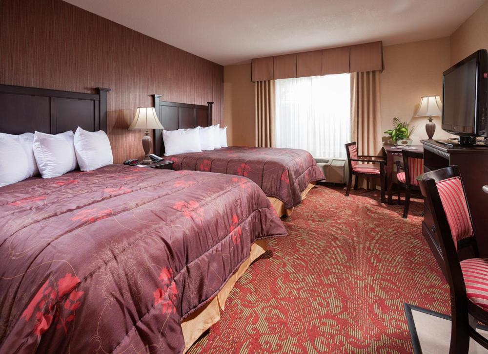 Family Suite - Photo 2