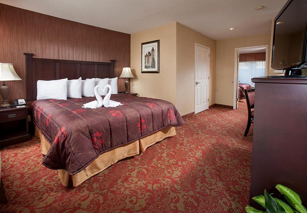 Family Suite - Photo 1