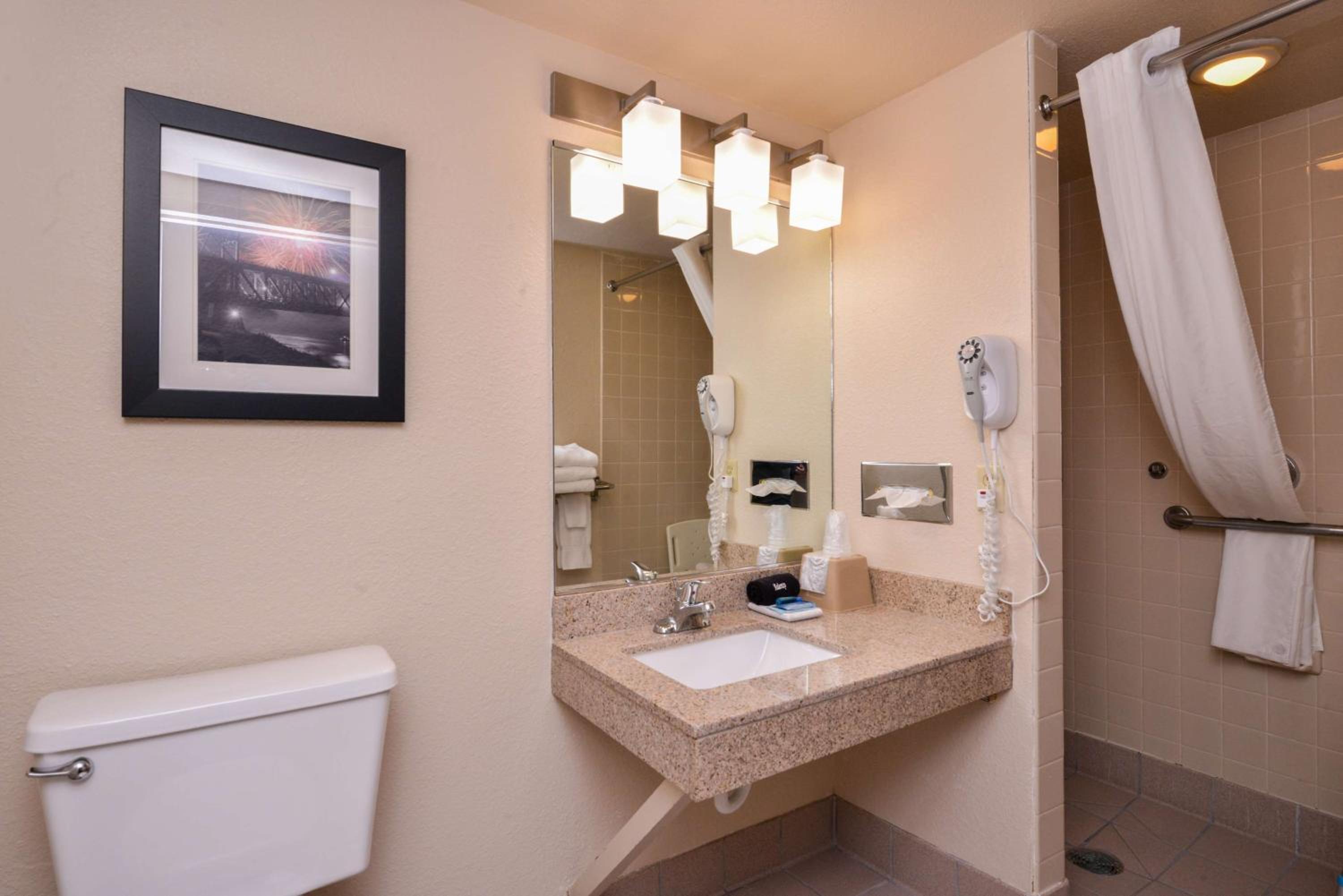 King Room With Roll In Shower-Disabilty Access - Photo 2
