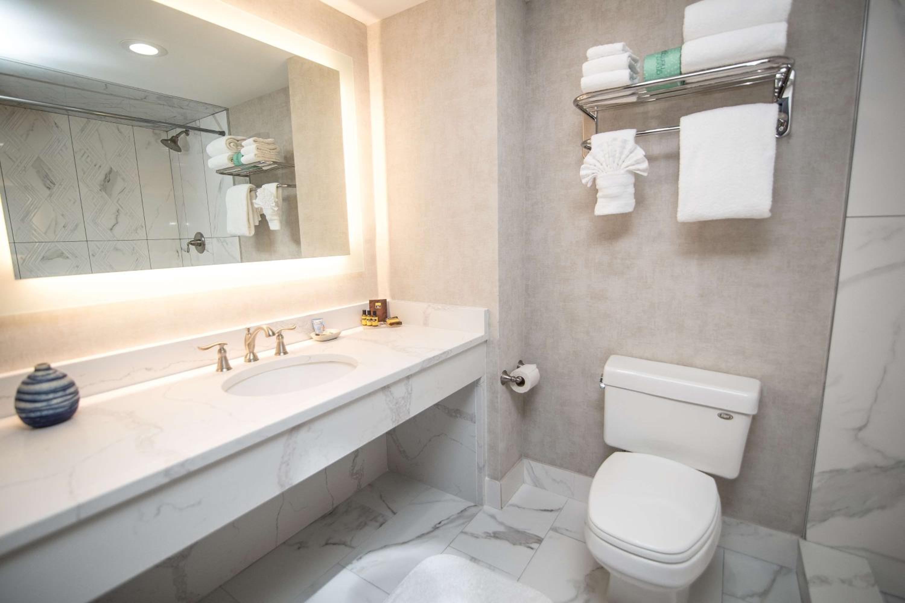 Deluxe King Suite - Photo 5