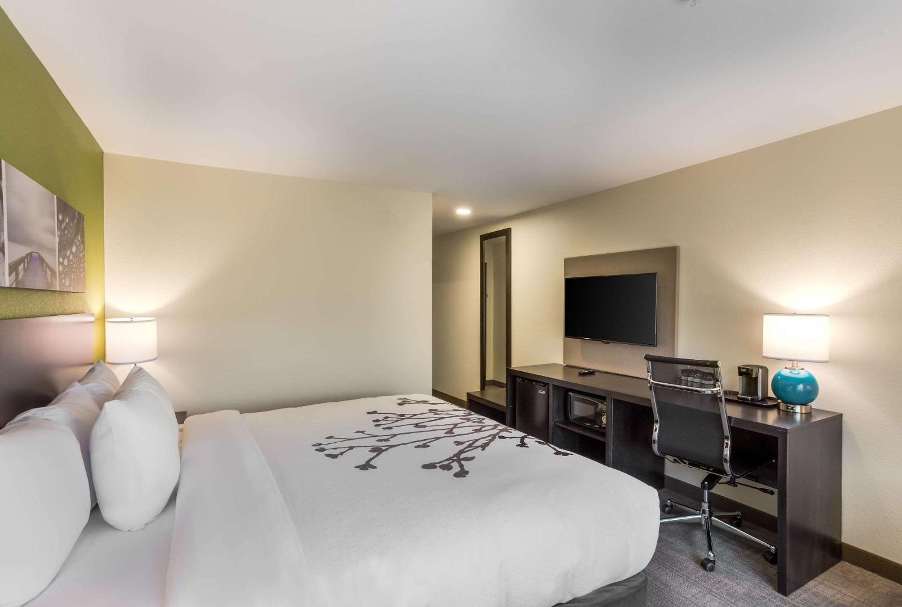 King Room - Non-Smoking - Photo 1