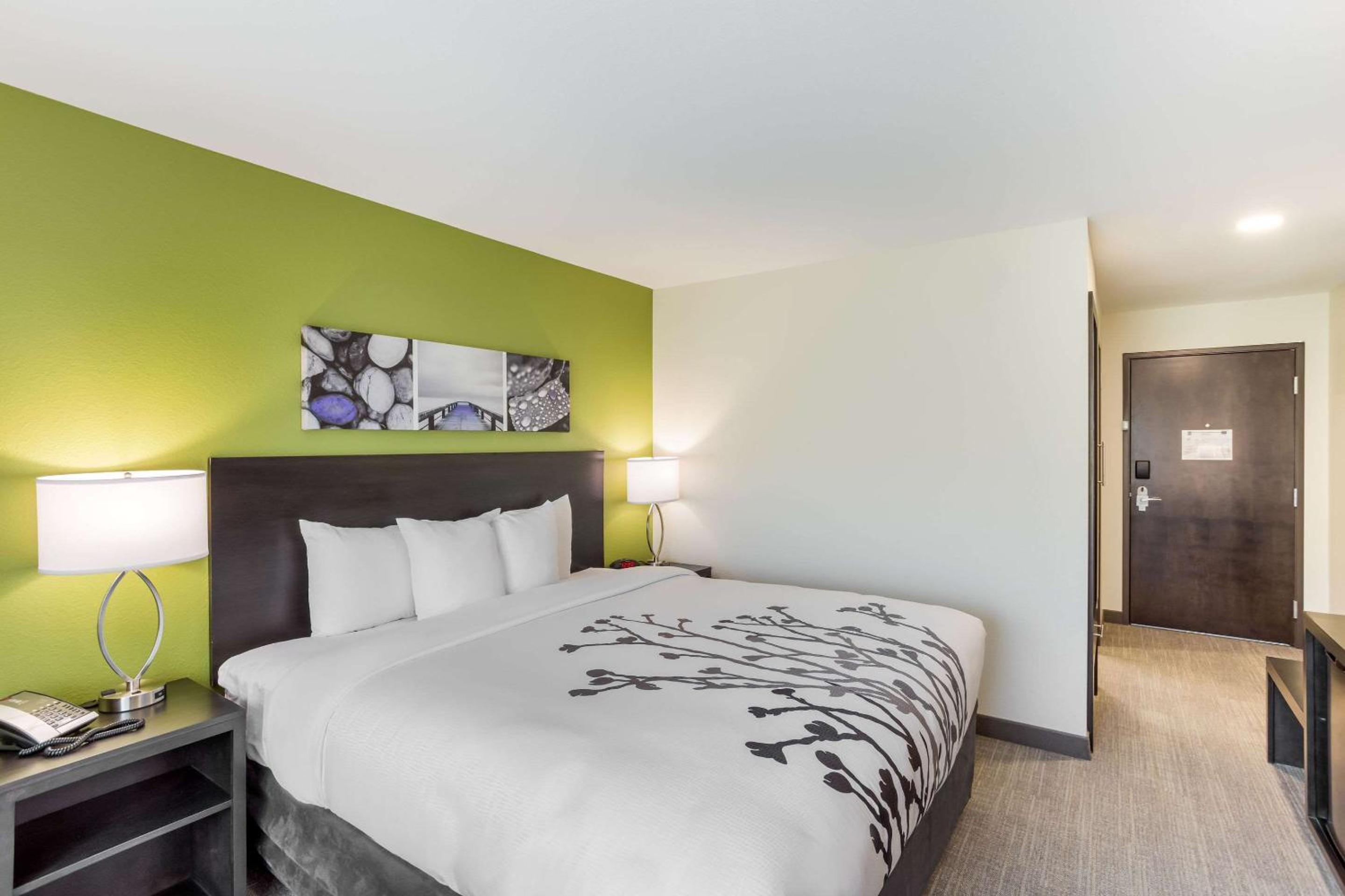 King Room - Non-Smoking - Photo 4