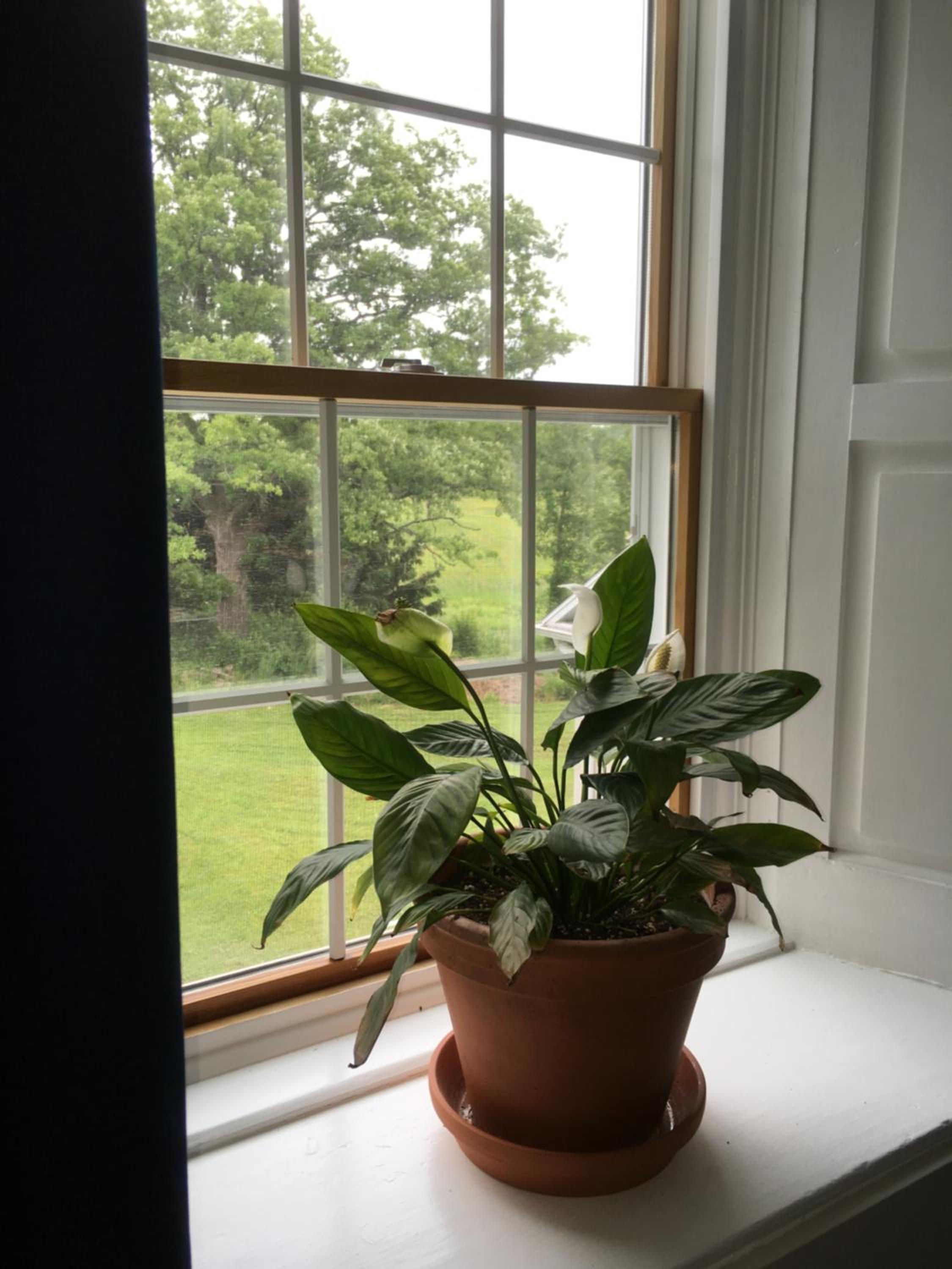 Superior Queen Room - Photo 9